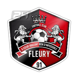 FC Fleury 91