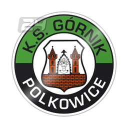 Gornik Polkowice